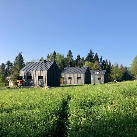 Villa Bieszczadzka Laka Kalnica  Esterno foto