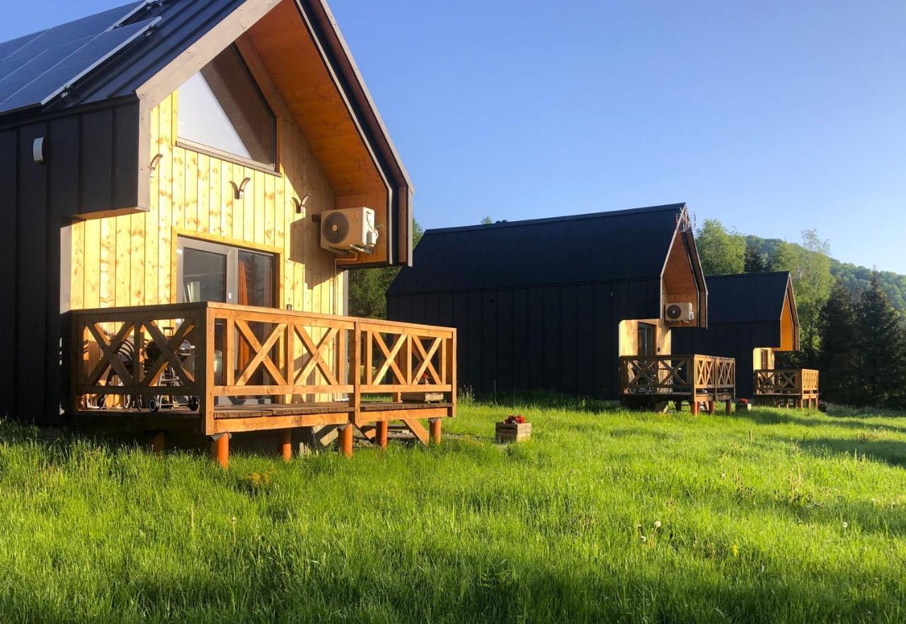 Villa Bieszczadzka Laka Kalnica  Esterno foto