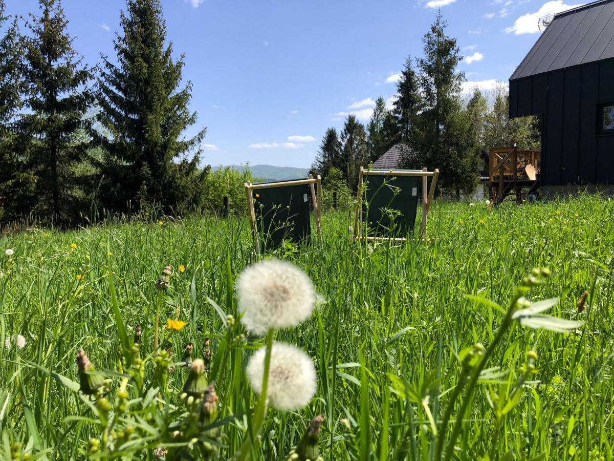 Villa Bieszczadzka Laka Kalnica  Esterno foto