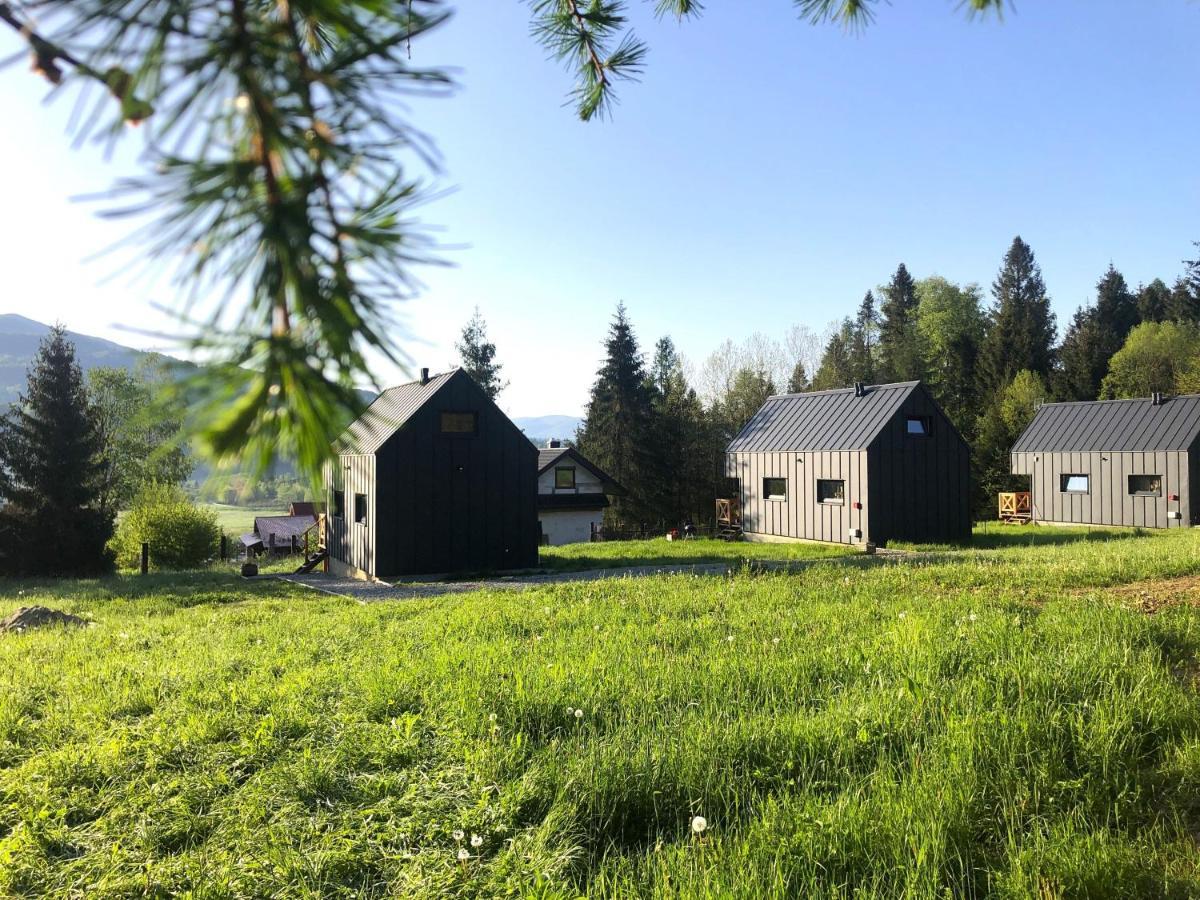 Villa Bieszczadzka Laka Kalnica  Esterno foto